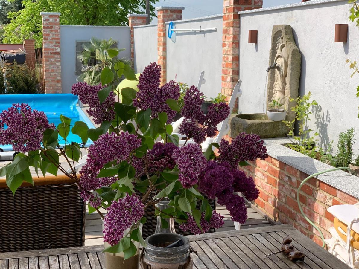 Alte Schmiede Mit Sauna, Pool Und Whirpool Im Aussenbereich Schoenstes Ferienhaus Der Lausitz Elsterheide Ngoại thất bức ảnh